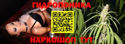 мяу мяу кристалл Ярославль