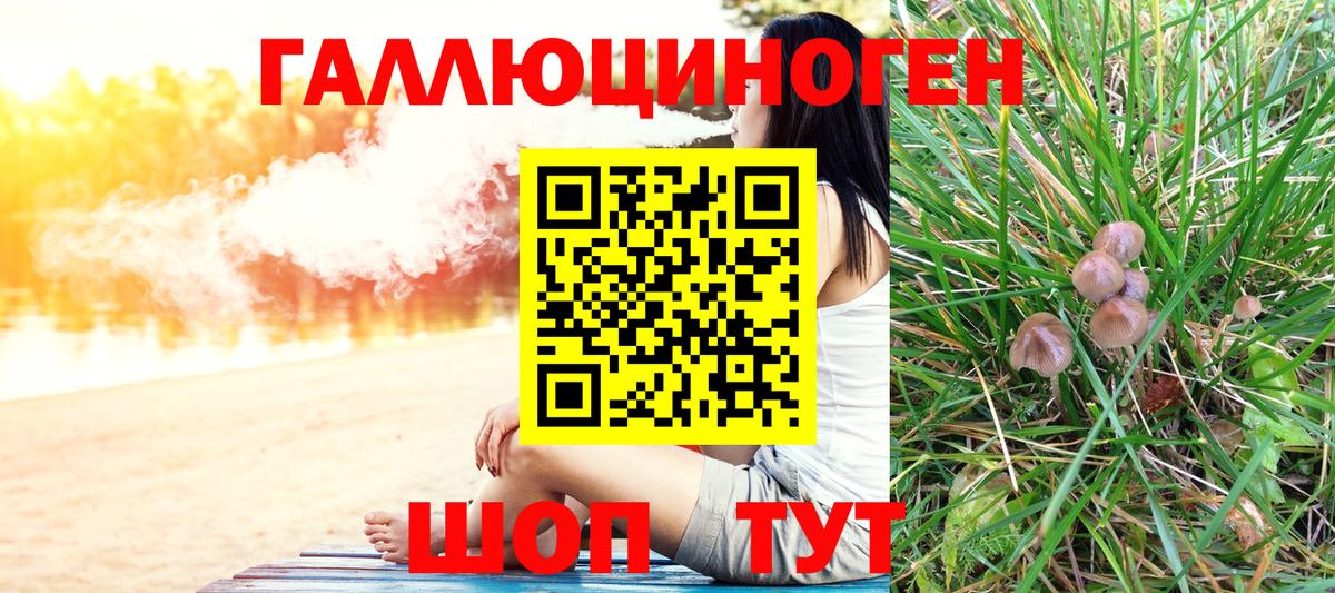 Вязники  Псилоцибиновые грибы ЛСД  Галлюциногенные грибы Psilocybe  Вход с VPN 