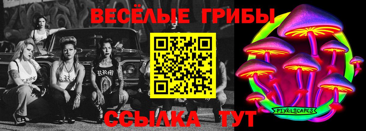 Галлюциногенные грибы Magic Shrooms Вязники